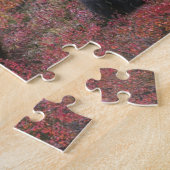 Puzzle USA, Alaska, Denali National Park. Ours grizzli (Côté)