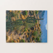 Puzzle USA, Arizona. Vue du désert (Horizontal)