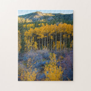 Puzzle USA, Colorado. Bright Yellow Aspens in Rockies
