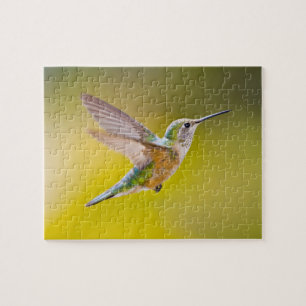 Puzzle USA, Colorado, Summit County, Heeney. Vue de côté