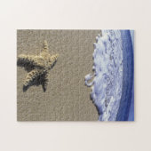 Puzzle USA, Hawaii, Maui, Makena Beach, Starfish et (Horizontal)