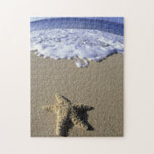 Puzzle USA, Hawaii, Maui, Makena Beach, Starfish et (Vertical)