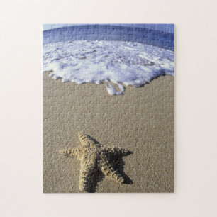 Puzzle USA, Hawaii, Maui, Makena Beach, Starfish et