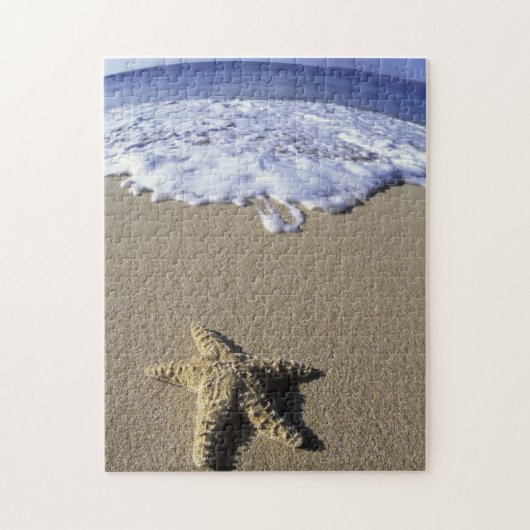 Puzzle USA, Hawaii, Maui, Makena Beach, Starfish et (Vertical)