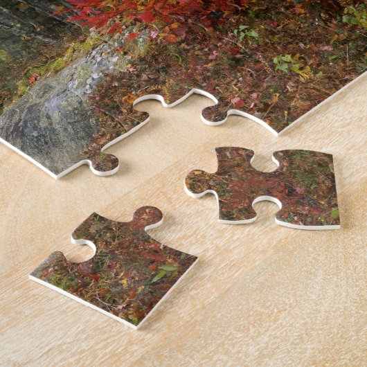 Puzzle USA, Maine, Camden. Route à travers Camden (Côté)