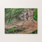 Puzzle USA, Minnesota, Sandstone, Minnesota Wildlife (Horizontal)