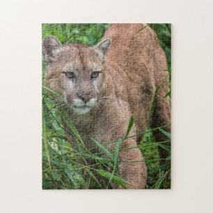 Puzzle USA, Minnesota, Sandstone, Minnesota Wildlife