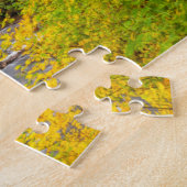 Puzzle USA, Oregon, Silver Falls State Park 2 (Côté)