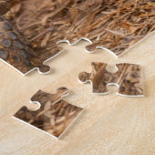 Puzzle USA, Texas, comté d'Hidalgo. Tortue (Côté)