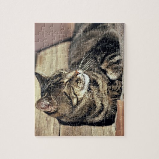 Puzzle USA, Utah, Capitol Reef NP. Tablette dormante (Vertical)