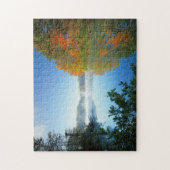 Puzzle USA, Virginie, Fairy Stone State Park (Vertical)