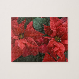 Puzzle USA, WA, Red Poinsettia Detail (Euphorbia)