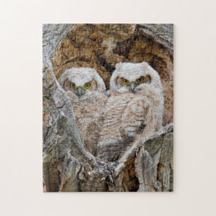 Puzzle USA, Wyoming, Grand Teton National Park