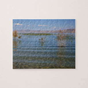 Puzzle UT, lac Bear