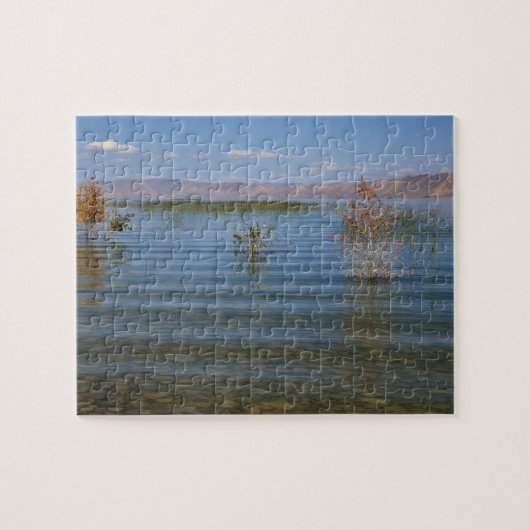 Puzzle UT, lac Bear (Horizontal)