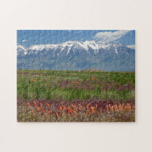 Puzzle Utah, États-Unis. Le mont Timpanogos s'élève au-de