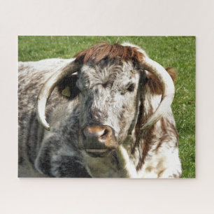 PUZZLE VACHE