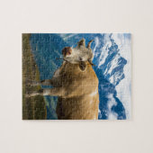 Puzzle Vache à Grindelwald - Alpes de Bernese - la Suisse (Horizontal)