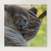 Puzzle Vache Brown Highland (Horizontal)