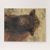 Puzzle Vache Brown se détendre à la ferme (Horizontal)