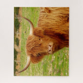 Puzzle Vache écossaise des Highlands (Vertical)