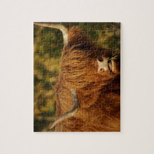 Puzzle Vache écossaise des Highlands (Vertical)