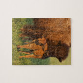 Puzzle Vache et veau de bison américain, Dakota du Nord (Horizontal)