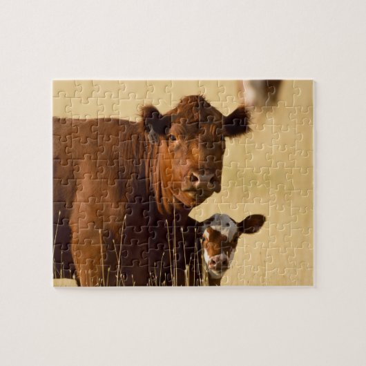 Puzzle Vache et veau de l'Ouest (Horizontal)