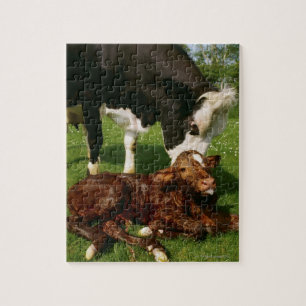Puzzle Vache et veau nouveau-né