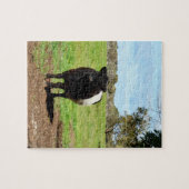 Puzzle Vache femelle ceinturée, (Horizontal)