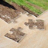 Puzzle Vache femelle ceinturée, (Côté)