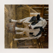 Puzzle Vache Holstein debout dans un seau rouillé (Horizontal)