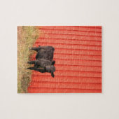 Puzzle Vache noire Grange rouge (Horizontal)
