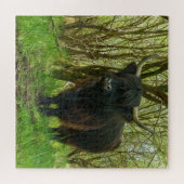 Puzzle Vache noire Highland (Horizontal)