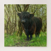Puzzle Vache noire Highland (Vertical)