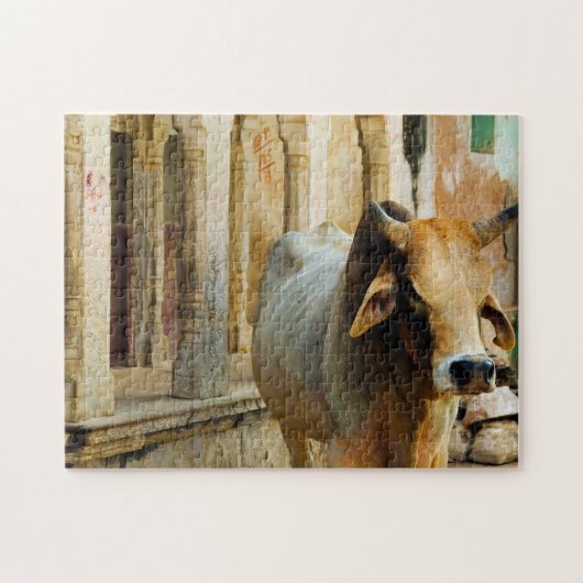 Puzzle Vache sacrée de l'Inde Rajastan (Horizontal)