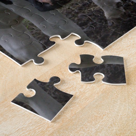 Puzzle Vaches (Côté)
