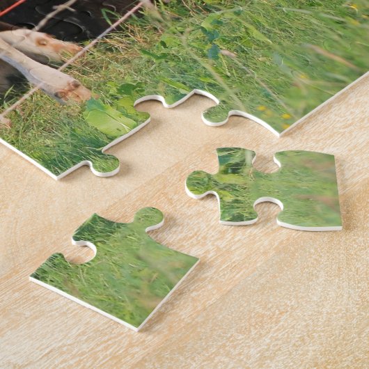 Puzzle Vaches (Côté)