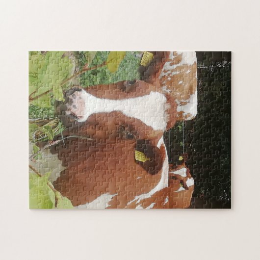 Puzzle Vaches à une exploitation laitière (Horizontal)