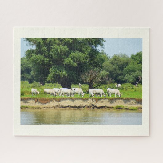 Puzzle Vaches blanches et le Danube (Horizontal)