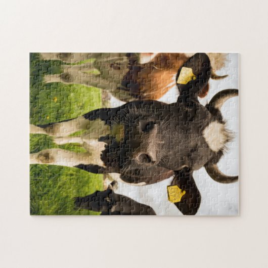 Puzzle Vaches dans le champ (Horizontal)