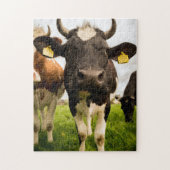 Puzzle Vaches dans le champ (Vertical)