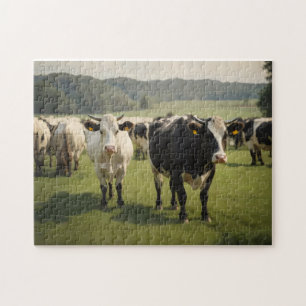 Puzzle Vaches dans un champ