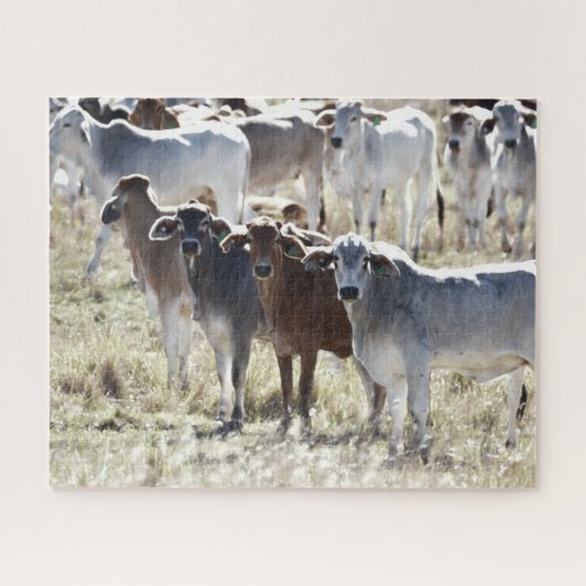 Puzzle Vaches de campagne (Horizontal)