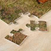 Puzzle Vaches des montagnes écossaises - Ecosse (Côté)