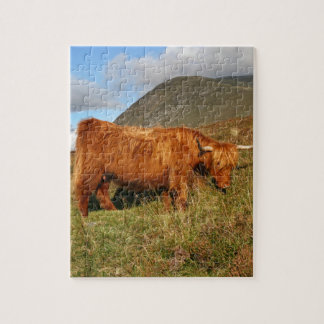 Puzzle Vaches des montagnes écossaises - Ecosse