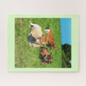 Puzzle Vaches du Jersey (Horizontal)