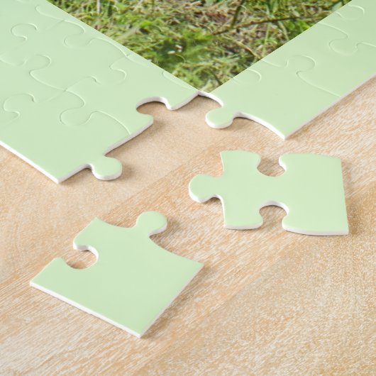 Puzzle Vaches du Jersey (Côté)