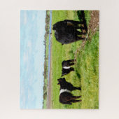 Puzzle Vaches galloway, puzzle, maman et bébé (Vertical)