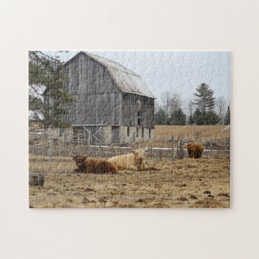 Puzzle Vaches Highland (Horizontal)